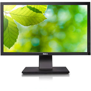 monitro with green leaves as screen
