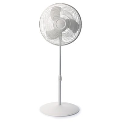 image for this item