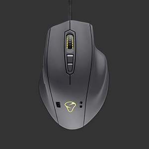 image for this item