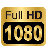 Genius DVR-FHD590 Full HD Vehicle Video Recorder