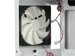 newegg