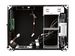 newegg