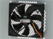 newegg