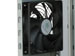 newegg