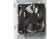 newegg