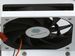 newegg