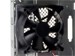 newegg