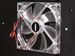 newegg