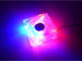 newegg