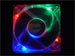 newegg