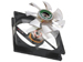 newegg