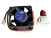 newegg