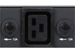 newegg