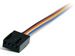 newegg