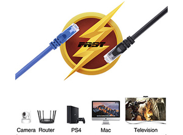 devices that Nippon Labs CAT6 Cable is compatible with