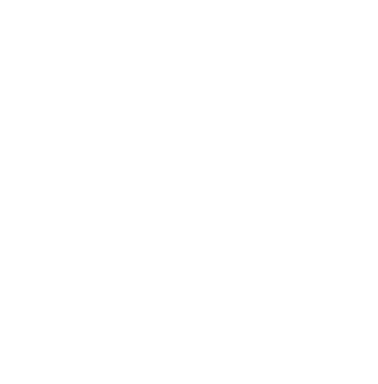 Pouch