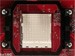 newegg