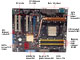 ASUS M2N-SLI Deluxe ATX AMD Motherboard - Retail