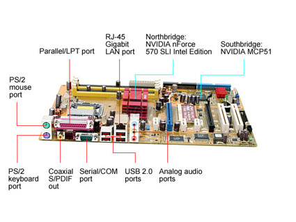 ASUS P5NSLI ATX Intel Motherboard - Retail
