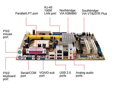 ASUS M2V-TVM Micro ATX AMD Motherboard - Retail
