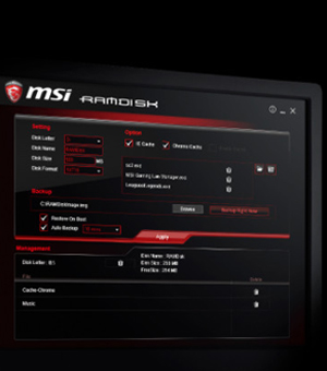 image for this item
