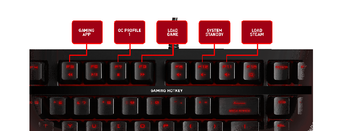 image for this item