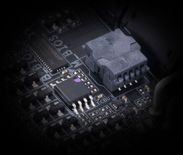 X299