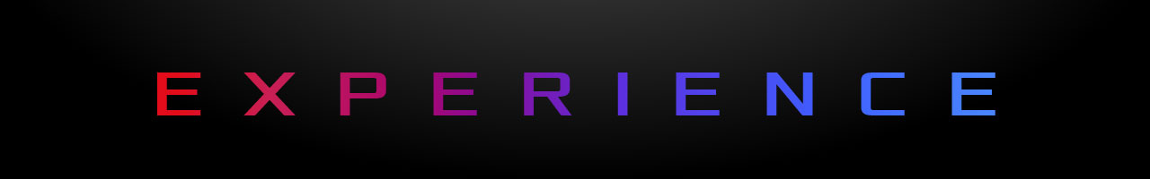 Feature banner for “Experience”