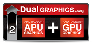 R9-290X-EDBD
