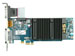 newegg