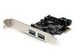 newegg