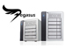 newegg