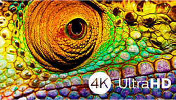 The beauty of 4K UltraHD TV is in savoring every detail