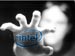 newegg