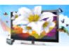 newegg