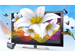 newegg