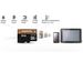 newegg