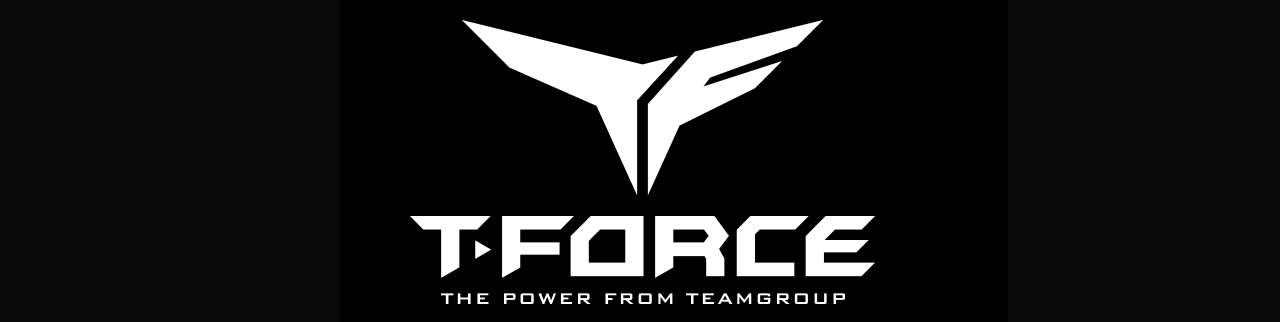 TEAMGROUP logo