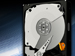 newegg