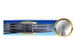 newegg