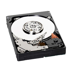 WD6000BLH