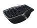 newegg
