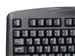 newegg