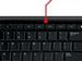 newegg