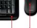 newegg
