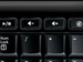 newegg