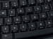 newegg