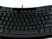 newegg