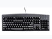 newegg