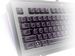 newegg